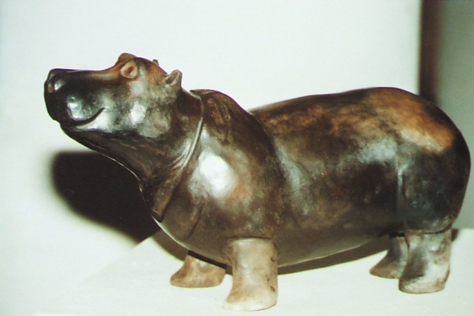 Hippo (Sägemehlbrand)