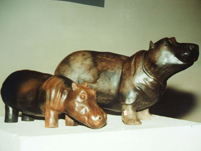 Hippos (Sägemehlbrand)